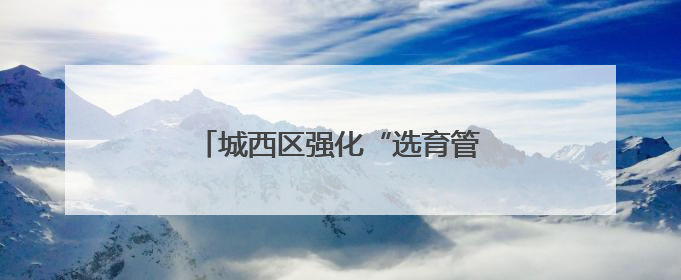 城西区强化“选育管”助年轻干部成长