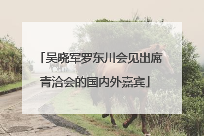 吴晓军罗东川会见出席青洽会的国内外嘉宾
