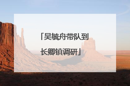 吴毓舟带队到长卿镇调研