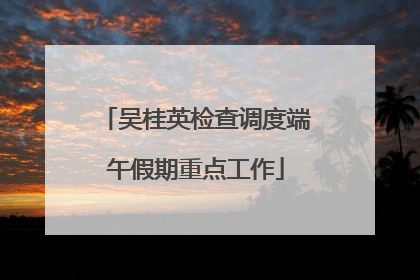 吴桂英检查调度端午假期重点工作