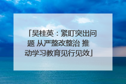 吴桂英：紧盯突出问题 从严整改整治 推动学习教育见行见效