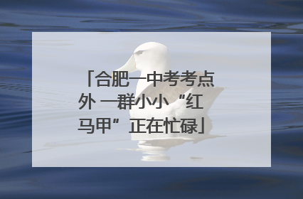 合肥一中考考点外 一群小小“红马甲”正在忙碌