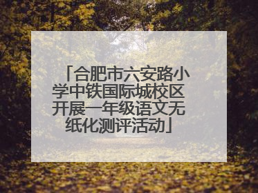合肥市六安路小学中铁国际城校区开展一年级语文无纸化测评活动