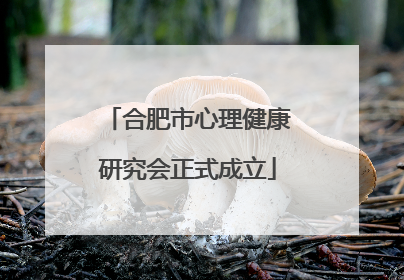 合肥市心理健康研究会正式成立