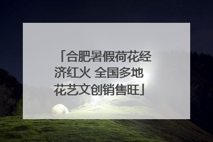 合肥暑假荷花经济红火 全国多地花艺文创销售旺