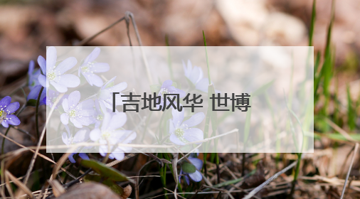 吉地风华 世博绽放！从三个亮点回眸大阪世博会吉林活动日