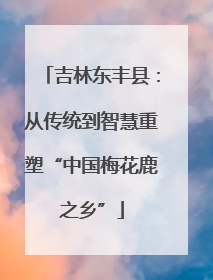 吉林东丰县：从传统到智慧重塑“中国梅花鹿之乡”