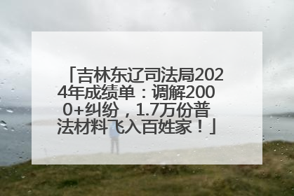 吉林东辽司法局2024年成绩单：调解2000+纠纷，1.7万份普法材料飞入百姓家！