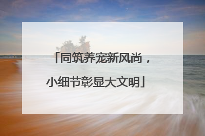 同筑养宠新风尚，小细节彰显大文明