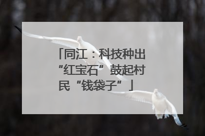 同江：科技种出“红宝石”鼓起村民“钱袋子”