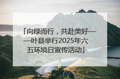 向绿而行，共赴美好——叶县举行2025年六五环境日宣传活动