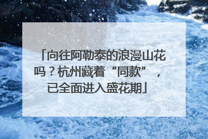 向往阿勒泰的浪漫山花吗？杭州藏着“同款”，已全面进入盛花期