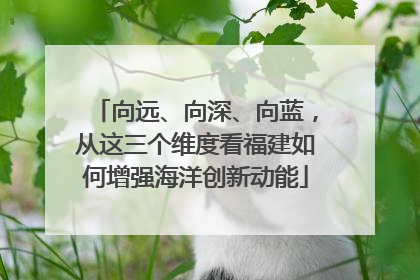 向远、向深、向蓝，从这三个维度看福建如何增强海洋创新动能