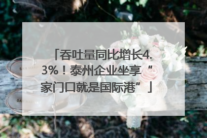 吞吐量同比增长4.3%！泰州企业坐享“家门口就是国际港”