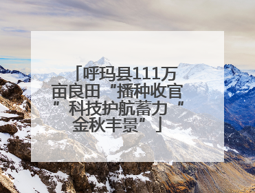 呼玛县111万亩良田“播种收官”科技护航蓄力“金秋丰景”