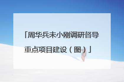 周华兵未小刚调研督导重点项目建设（图）