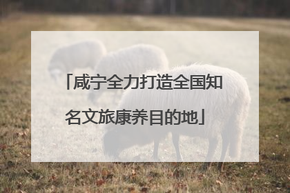 咸宁全力打造全国知名文旅康养目的地