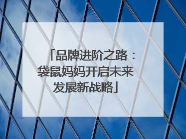 品牌进阶之路：袋鼠妈妈开启未来发展新战略