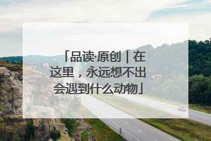 品读·原创｜在这里，永远想不出会遇到什么动物