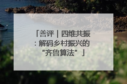 善评｜四维共振：解码乡村振兴的“齐鲁算法”