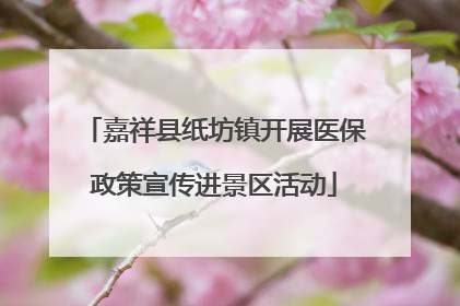 嘉祥县纸坊镇开展医保政策宣传进景区活动