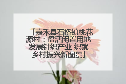 嘉禾县石桥镇桃花源村：盘活闲置用地发展针织产业 织就乡村振兴新图景