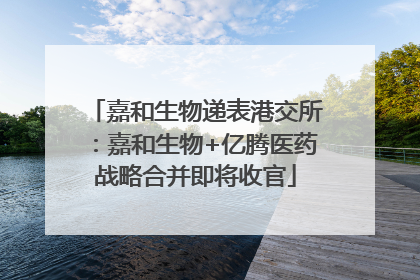 嘉和生物递表港交所：嘉和生物+亿腾医药战略合并即将收官