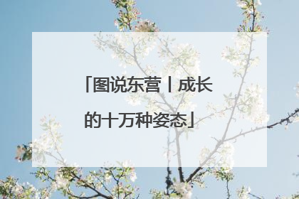 图说东营丨成长的十万种姿态