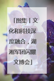 图集丨文化和科技深度融合，湖湘军团闪耀文博会