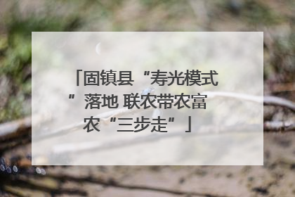 固镇县“寿光模式”落地 联农带农富农“三步走”