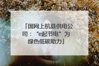 国网上杭县供电公司：“e起节电”为绿色低碳助力