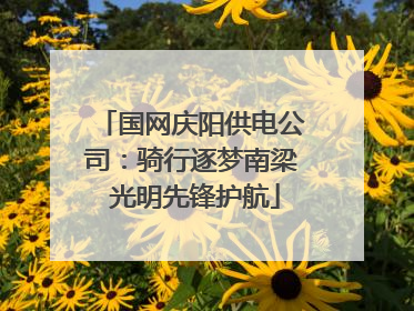 国网庆阳供电公司：骑行逐梦南梁 光明先锋护航