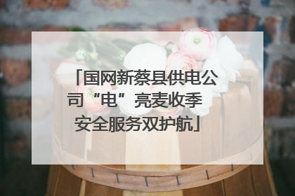 国网新蔡县供电公司“电”亮麦收季 安全服务双护航