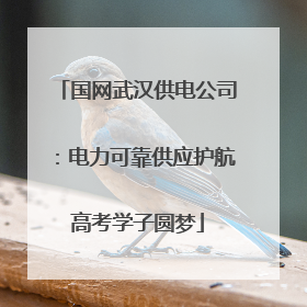 国网武汉供电公司：电力可靠供应护航高考学子圆梦