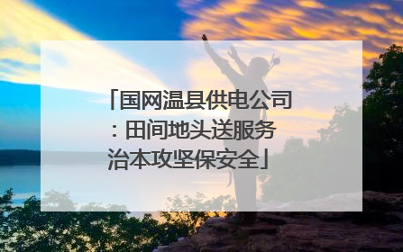 国网温县供电公司：田间地头送服务 治本攻坚保安全