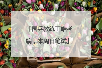 国乒教练王皓考编，本周日笔试