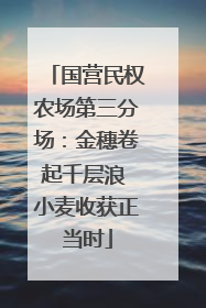 国营民权农场第三分场：金穗卷起千层浪 小麦收获正当时