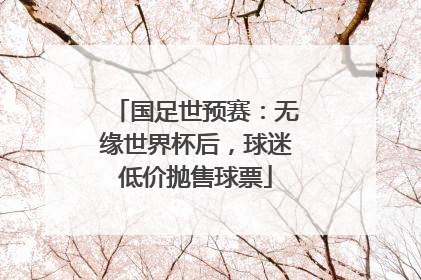 国足世预赛：无缘世界杯后，球迷低价抛售球票