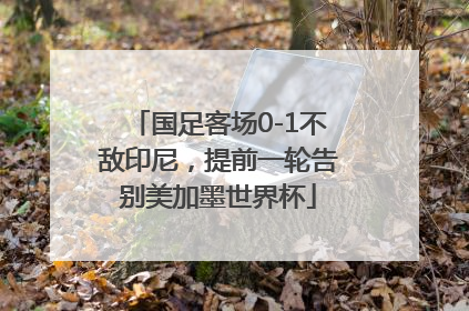 国足客场0-1不敌印尼，提前一轮告别美加墨世界杯