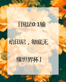 国足0:1输给印尼，彻底无缘世界杯