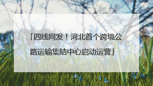 四线同发！河北首个跨境公路运输集结中心启动运营
