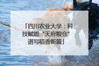 四川农业大学：科技赋能“天府粮仓”谱写稻香新篇