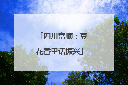 四川富顺：豆花香里话振兴