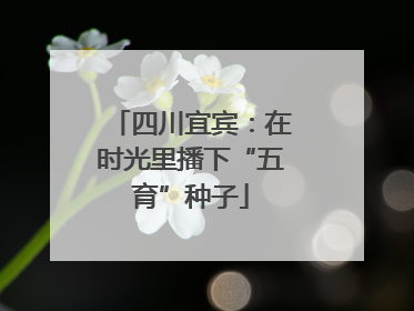 四川宜宾：在时光里播下“五育”种子