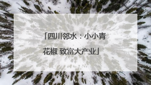 四川邻水：小小青花椒 致富大产业
