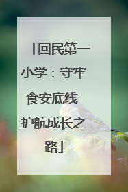 回民第一小学：守牢食安底线 护航成长之路