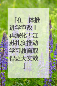在一体推进学查改上再深化！江苏扎实推动学习教育取得更大实效
