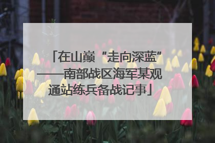 在山巅“走向深蓝”——南部战区海军某观通站练兵备战记事