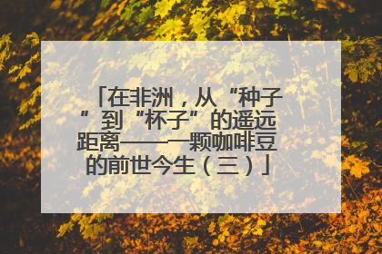 在非洲，从“种子”到“杯子”的遥远距离——一颗咖啡豆的前世今生（三）