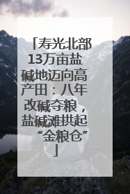 寿光北部13万亩盐碱地迈向高产田：八年改碱夺粮，盐碱滩拱起“金粮仓”